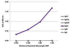 Goat Anti-Mouse IgG3 (Heavy chain) antibody, pre-adsorbed (HRP). GTX04219-01