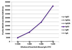 Goat Anti-Mouse IgG3 (Heavy chain) antibody, pre-adsorbed (FITC). GTX04219-06
