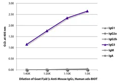Goat Anti-Mouse IgG3 (Heavy chain) antibody, F(ab')2 fragment, pre-adsorbed (Biotin). GTX04220-02