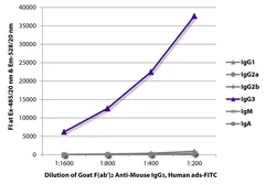 Goat Anti-Mouse IgG3 (Heavy chain) antibody, F(ab')2 fragment, pre-adsorbed (FITC). GTX04220-06