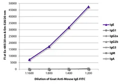 Goat Anti-Mouse IgE (Heavy chain) antibody, pre-adsorbed (FITC). GTX04222-06