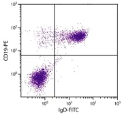 Rat Anti-Mouse IgD antibody [11-26] (FITC). GTX04223-06