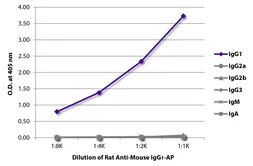 Rat Anti-Mouse IgG1 (Fc) antibody [SB77e] (AP). GTX04226-03