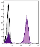 Rat Anti-Mouse IgG1 (Fc) antibody [SB77e] (PE). GTX04226-08