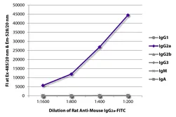 Rat Anti-Mouse IgG2a antibody [SB84a] (FITC). GTX04227-06
