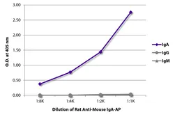 Rat Anti-Mouse IgA antibody [11-44-2] (AP). GTX04228-03