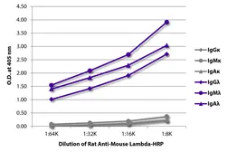Rat Anti-Mouse lambda light chain antibody [JC5-1] (HRP). GTX04229-01
