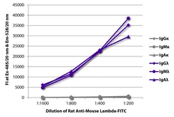 Rat Anti-Mouse lambda light chain antibody [JC5-1] (FITC). GTX04229-06