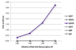 Rat Anti-Mouse IgG2b antibody [SB74g] (AP). GTX04231-03