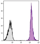 Goat Anti-Rat IgG antibody, F(ab')2 fragment, pre-adsorbed (R-PE-Cy5). GTX04233-09