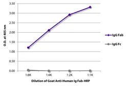 Goat Anti-Human IgG (Fab) antibody, pre-adsorbed (HRP). GTX04236-01