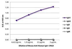 Mouse Anti-Human IgA1 antibody [B3506B4]. GTX04276