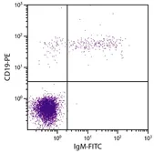 Mouse anti-Human IgM antibody [SA-DA4] (FITC). GTX04300-06