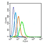 Anti-CD31 antibody used in Flow cytometry (FCM). GTX04325