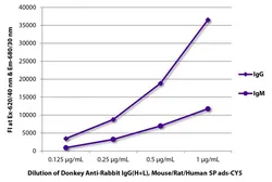 Donkey anti-Rabbit IgG antibody, pre-adsorbed (Cy5). GTX04551-24
