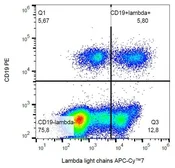 Mouse Anti-Human lambda light chain antibody [1-155-2] (APC-Cy7). GTX04554-15