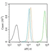 Anti-GCN2 (phospho Thr899) antibody used in Flow cytometry (FCM). GTX04587
