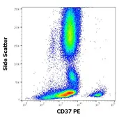 Anti-CD37 antibody [MB-1] (PE) used in Flow cytometry (FACS). GTX04698-08