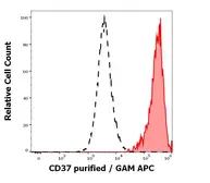 Anti-CD37 antibody [MB-1] used in Flow cytometry (FACS). GTX04698