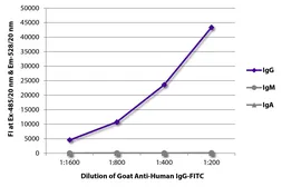Goat Anti-Human IgG antibody, pre-adsorbed (FITC). GTX05041
