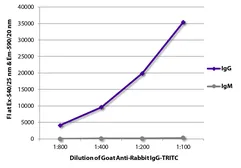 Goat anti-Rabbit IgG antibody (TRITC). GTX05104-25