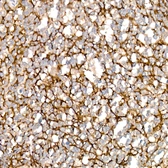 Anti-VCAM1 / CD106 antibody [ARC61231] used in IHC (Paraffin sections) (IHC-P). GTX05160