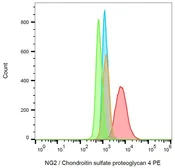 Anti-NG2 antibody [7.1] (PE) used in Flow cytometry (FCM). GTX05278-08