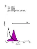 Anti-Oct4 antibody used in Flow cytometry (FCM). GTX100468