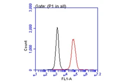 Anti-IL2 antibody used in Flow cytometry (FACS). GTX101138