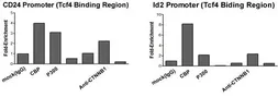 Anti-beta Catenin antibody, Internal used in ChIP assay (ChIP assay). GTX10342