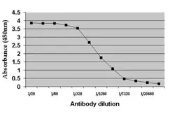 Anti-c-Myc antibody [9E10] (HRP) used in ELISA (ELISA). GTX10827
