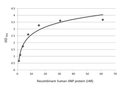 Human ANP protein, GST tag. GTX109255-pro
