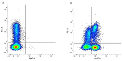 Anti-CD3 epsilon antibody [CD3-12] used in Flow cytometry (FCM). GTX11089