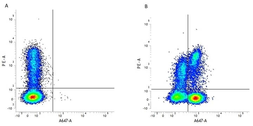 Anti-CD3 epsilon antibody [CD3-12] used in Flow cytometry (FACS). GTX11089