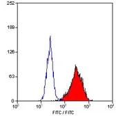 Anti-CD90 antibody [F15-42-1] (FITC) used in Flow cytometry (FCM). GTX11155