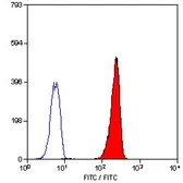 Anti-Leukotriene B4 Receptor antibody [202/7B1] (FITC) used in Flow cytometry (FCM). GTX11207