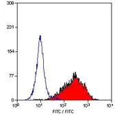 Anti-Fibroblasts/Epithelial antibody [D7-FIB] used in Flow cytometry (FACS). GTX11208