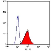 Anti-TLR4 antibody [HTA125] (PE) used in Flow cytometry (FCM). GTX11227