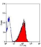 Anti-EGFR antibody [ICR10] (FITC) used in Flow cytometry (FACS). GTX11400