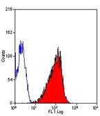 Anti-EGFR antibody [ICR10] (FITC) used in Flow cytometry (FCM). GTX11400