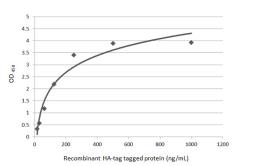 Anti-HA tag antibody (HRP) used in ELISA (ELISA). GTX115044-01