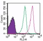 Anti-TLR8 antibody [44C143] used in Flow cytometry (FACS). GTX12120