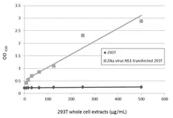 Anti-Zika virus NS1 protein antibody used in ELISA (ELISA). GTX133324