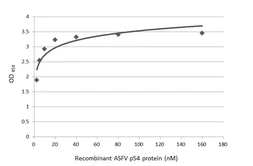 Anti-ASFV p54 antibody used in ELISA (ELISA). GTX135175