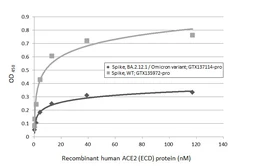 Human ACE2 (ECD) protein, mouse IgG Fc tag (active). GTX135683-pro