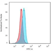 Anti-Cytochrome C antibody [7H8.2C12] used in Flow cytometry (FCM). GTX13575