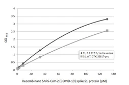 SARS-CoV-2 (COVID-19) Spike S1 protein, His tag (active). GTX135817-pro