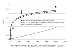 SARS-CoV-2 (COVID-19) Spike RBD Protein, B.1.1.7 / Alpha variant, His tag (active). GTX136014-pro