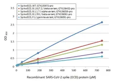 SARS-CoV-2 (COVID-19) Spike (ECD) Protein, B.1.351 / Beta variant, His tag (active). GTX136061-pro
