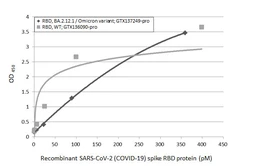 SARS-CoV-2 (COVID-19) Spike RBD protein, His tag (active). GTX136090-pro